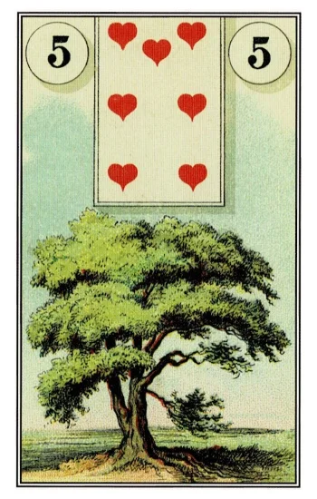 雷諾曼卡｜樹（Tree）｜05