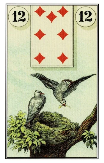 雷諾曼卡｜鳥（Birds）｜12