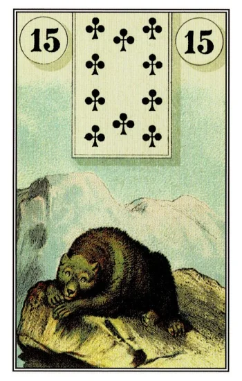 雷諾曼卡｜熊（Bear）｜15