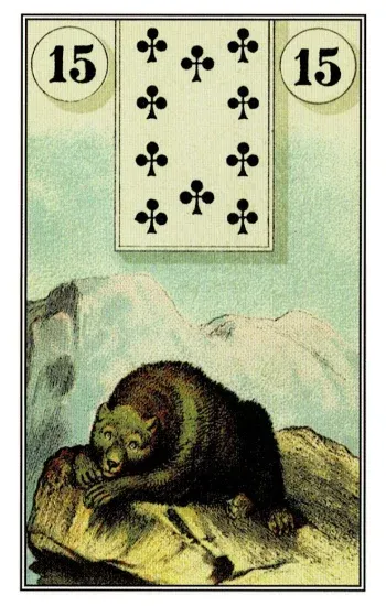 雷諾曼卡｜熊（Bear）｜15