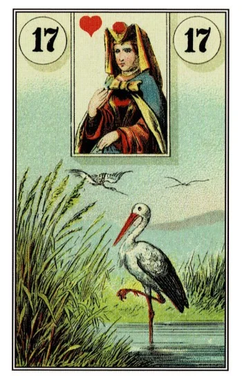 雷諾曼卡｜鸛（Stork）｜17
